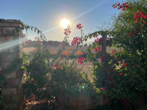 Poria Valle de Guadalupe